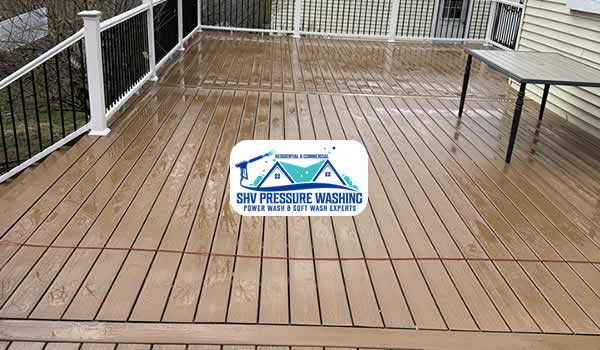 Deck & Fence Cleaning Services