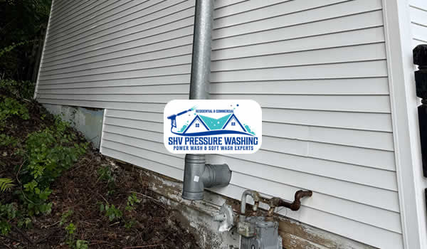 Gutter Cleaning Services