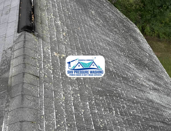 Roof Washing Services