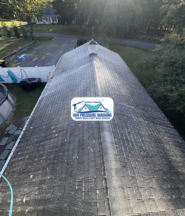 Roof Washing Services